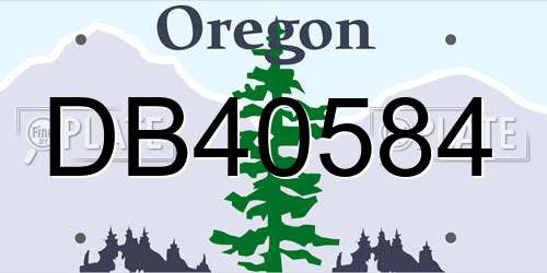 DB40584 Oregon License Plate
