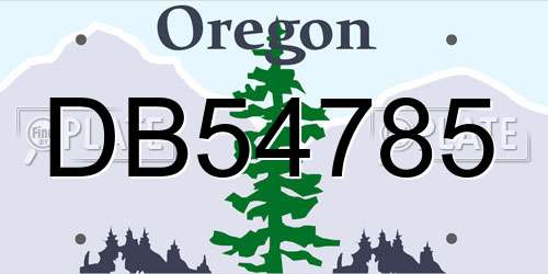 DB54785 Oregon License Plate