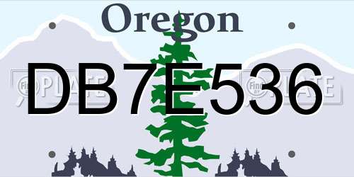 DB7E536 Oregon License Plate