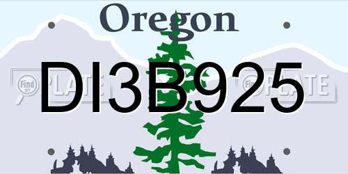 DI3B925 Oregon License Plate