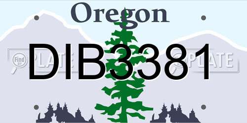 DIB3381 Oregon License Plate