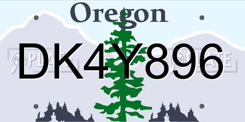 DK4Y896 Oregon License Plate