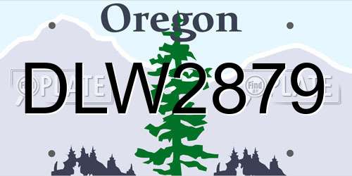 DLW2879 Oregon License Plate
