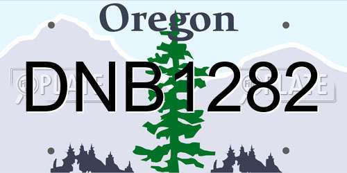 DNB1282 Oregon License Plate
