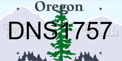 DNS1757 Oregon License Plate