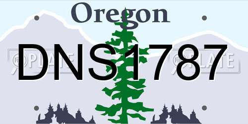 DNS1787 Oregon License Plate