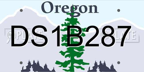 DS1B287 Oregon License Plate