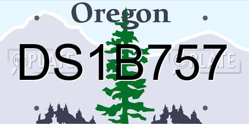 DS1B757 Oregon License Plate