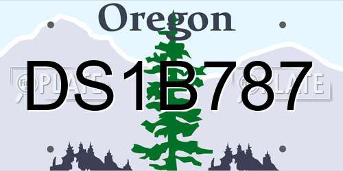DS1B787 Oregon License Plate