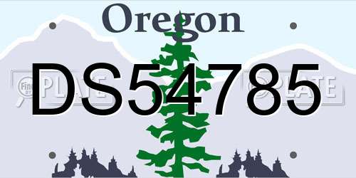 DS54785 Oregon License Plate