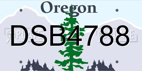 DSB4788 Oregon License Plate