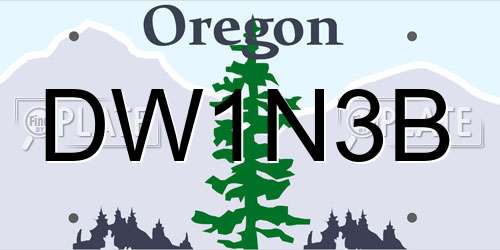 DW1N3B Oregon License Plate