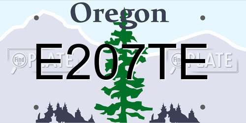 E207TE Oregon License Plate