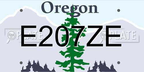 E207ZE Oregon License Plate