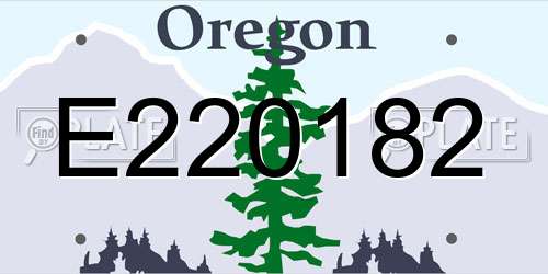 E220182 Oregon License Plate
