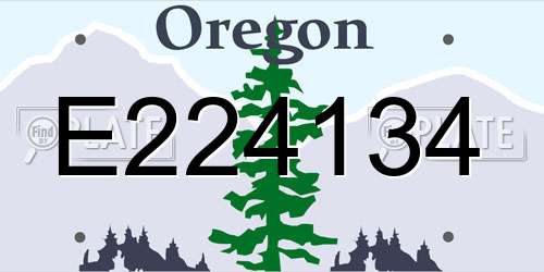 E224134 Oregon License Plate
