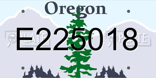 E225018 Oregon License Plate