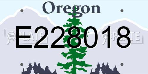 E228018 Oregon License Plate