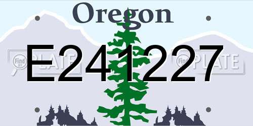 E241227 Oregon License Plate