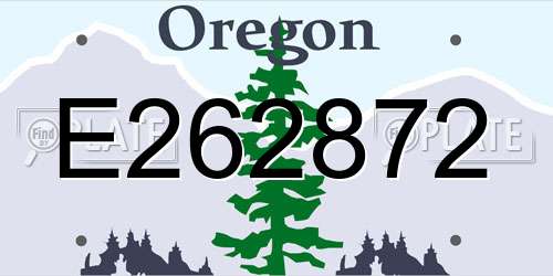 E262872 Oregon License Plate