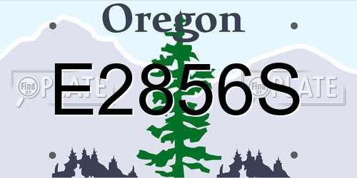 E2856S Oregon License Plate