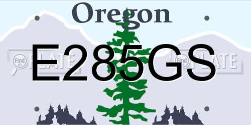 E285GS Oregon License Plate