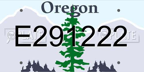 E291222 Oregon License Plate