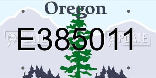 E385011 Oregon License Plate