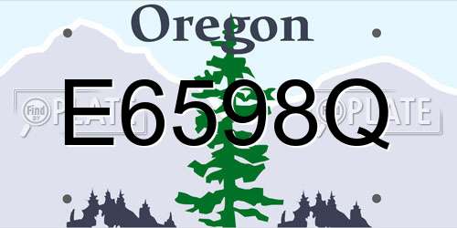 E6598Q Oregon License Plate