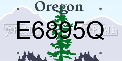 E6895Q Oregon License Plate