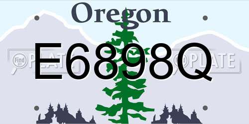 E6898Q Oregon License Plate