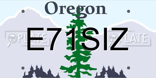 E71SIZ Oregon License Plate