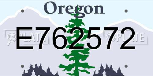 E762572 Oregon License Plate