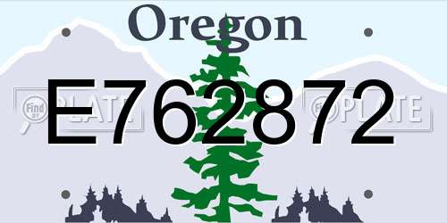 E762872 Oregon License Plate