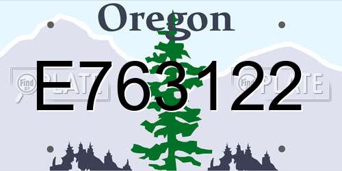 E763122 Oregon License Plate
