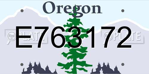 E763172 Oregon License Plate