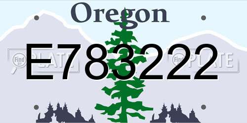 E783222 Oregon License Plate