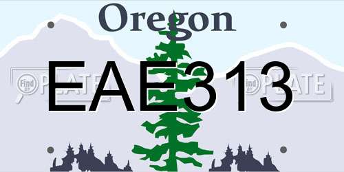 EAE313 Oregon License Plate