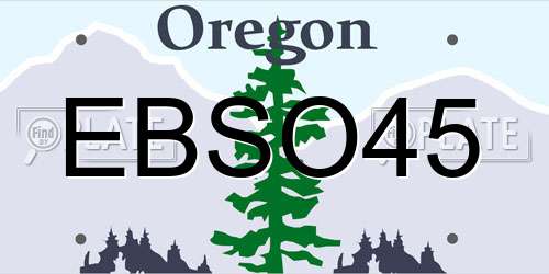 EBSO45 Oregon License Plate