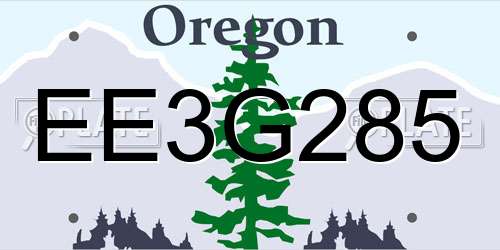 EE3G285 Oregon License Plate