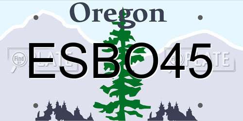 ESBO45 Oregon License Plate