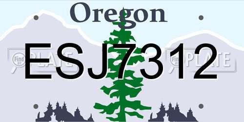 ESJ7312 Oregon License Plate