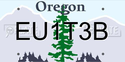 EU1T3B Oregon License Plate