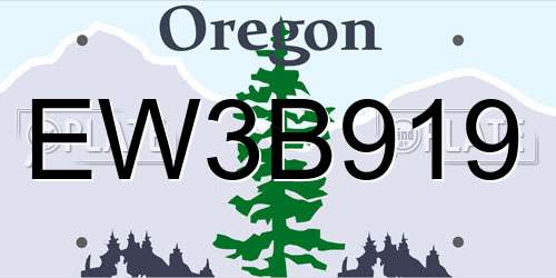 EW3B919 Oregon License Plate