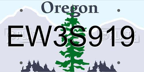 EW3S919 Oregon License Plate
