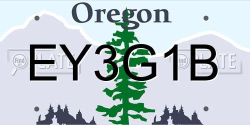 EY3G1B Oregon License Plate