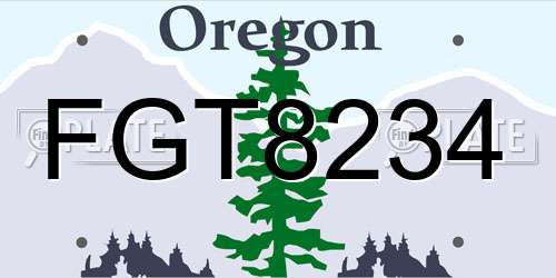 FGT8234 Oregon License Plate