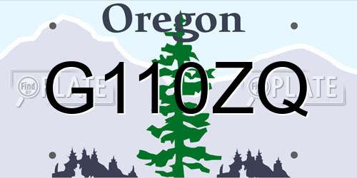 G110ZQ Oregon License Plate