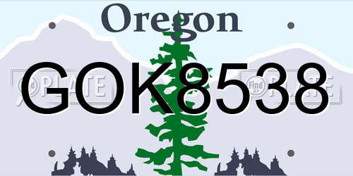 GOK8538 Oregon License Plate