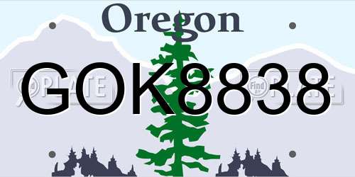 GOK8838 Oregon License Plate